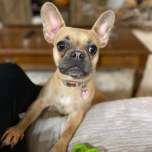 Meet your Posher, Allison